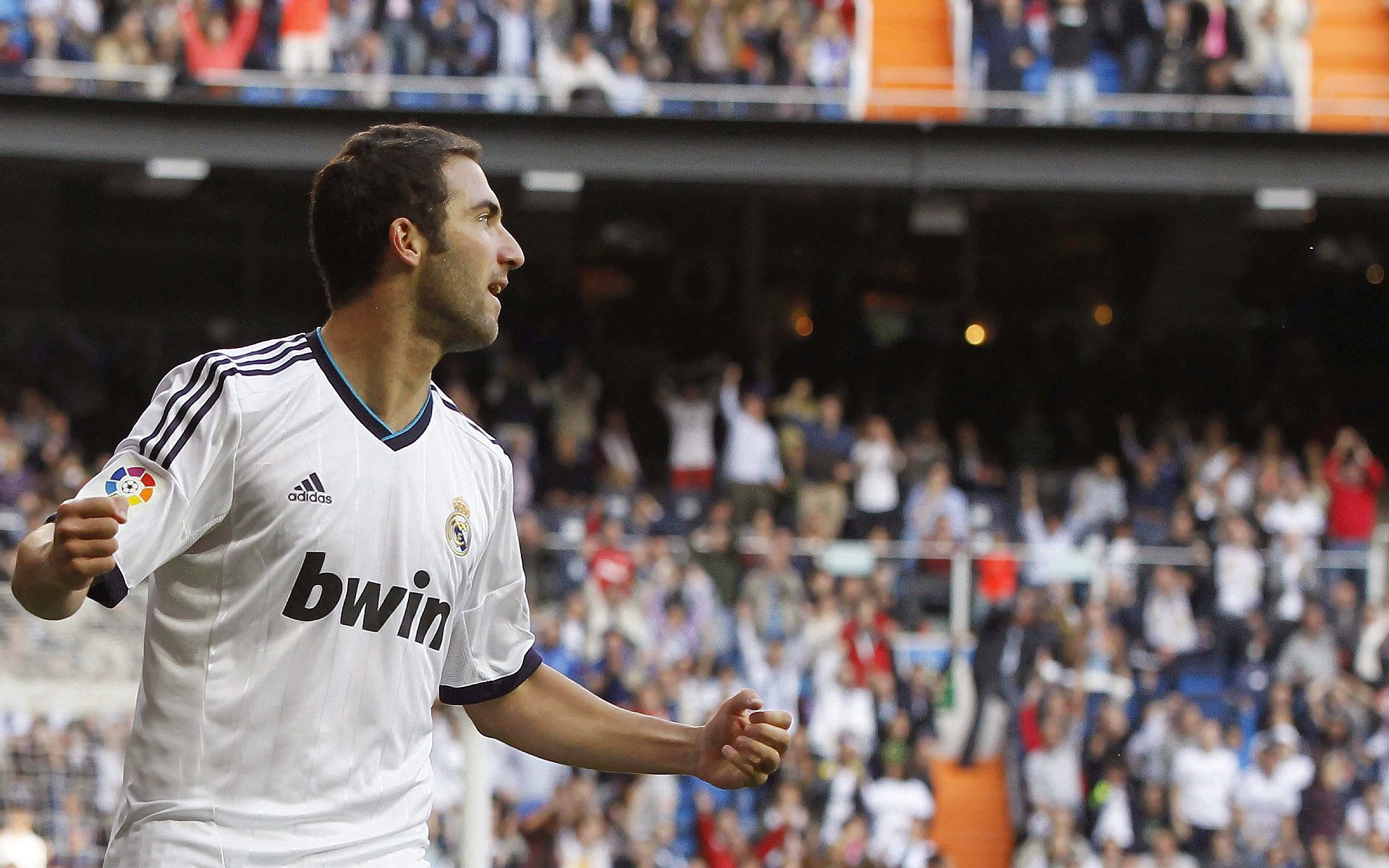 “南非羚羊队的防线支柱:埃尔斯·霍斯特的不可替代性”