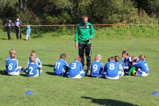 球队近期连胜背后战术分析，nba球队连胜